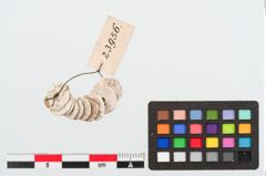 Foto von Perlenkette (NHMW-PRAE-023956)